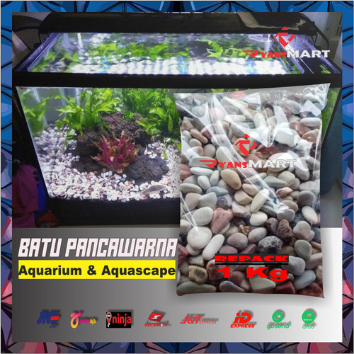 Detail Batu Hiasan Aquarium Nomer 57