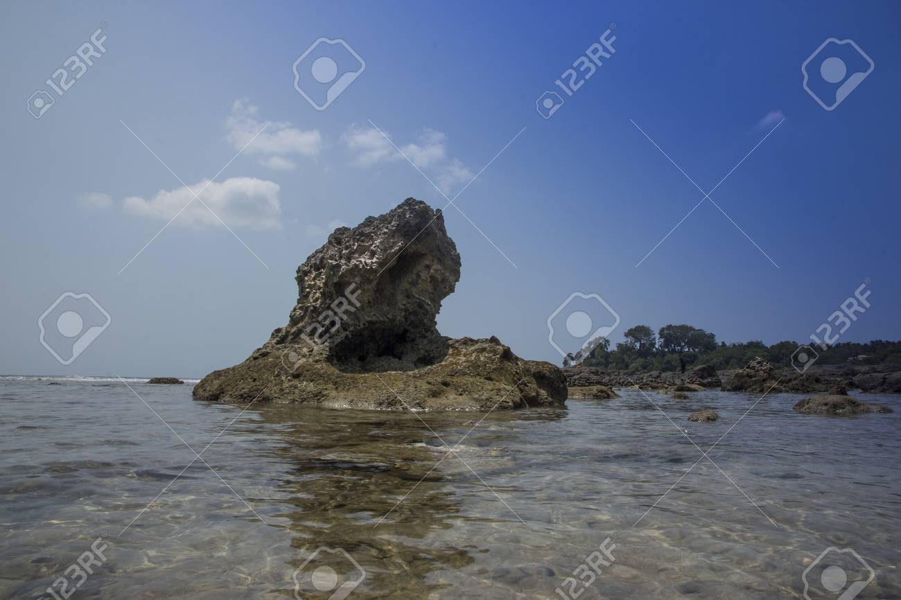 Detail Batu Karang Laut Nomer 29