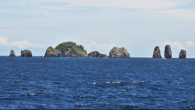 Detail Batu Karang Laut Nomer 39