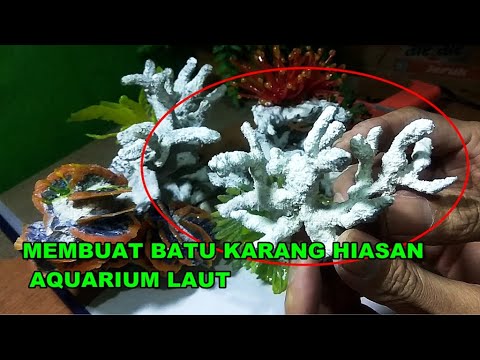 Detail Batu Karang Laut Nomer 44