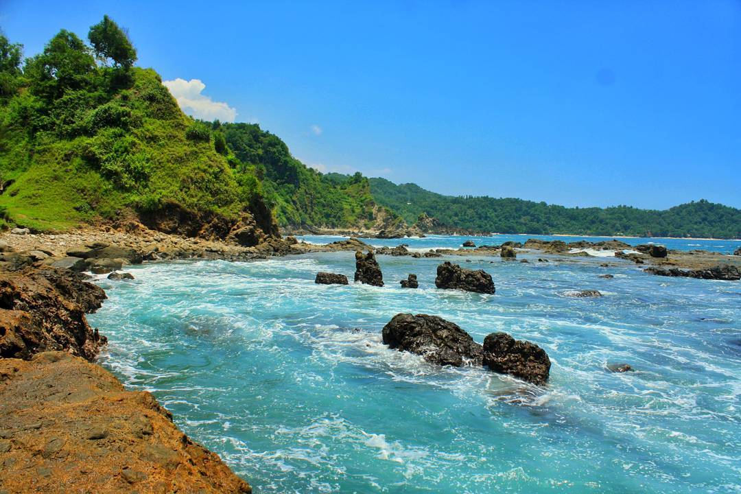 Detail Batu Karang Pantai Nomer 33