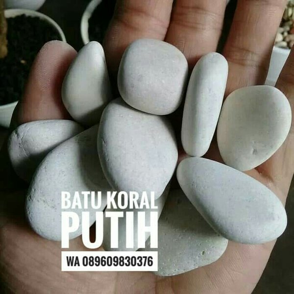 Detail Batu Kolam Ikan Nomer 39