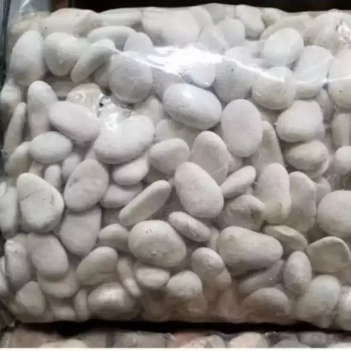 Detail Batu Kolam Putih Nomer 17