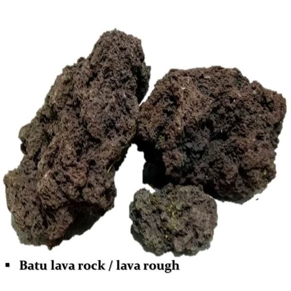 Detail Batu Lava Rock Nomer 36