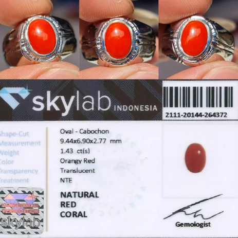 Detail Batu Marjan Arab Nomer 18
