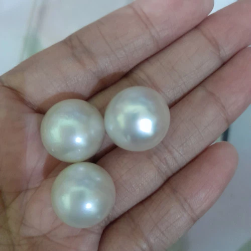 Detail Batu Mutiara Laut Nomer 18