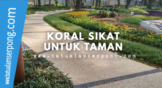 Detail Batu Sikat Hitam Nomer 52