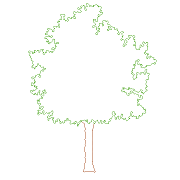 Baum Ansicht - KibrisPDR