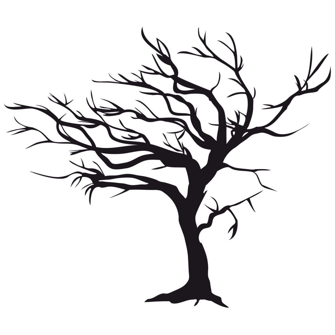 Detail Baum Ansicht Nomer 5