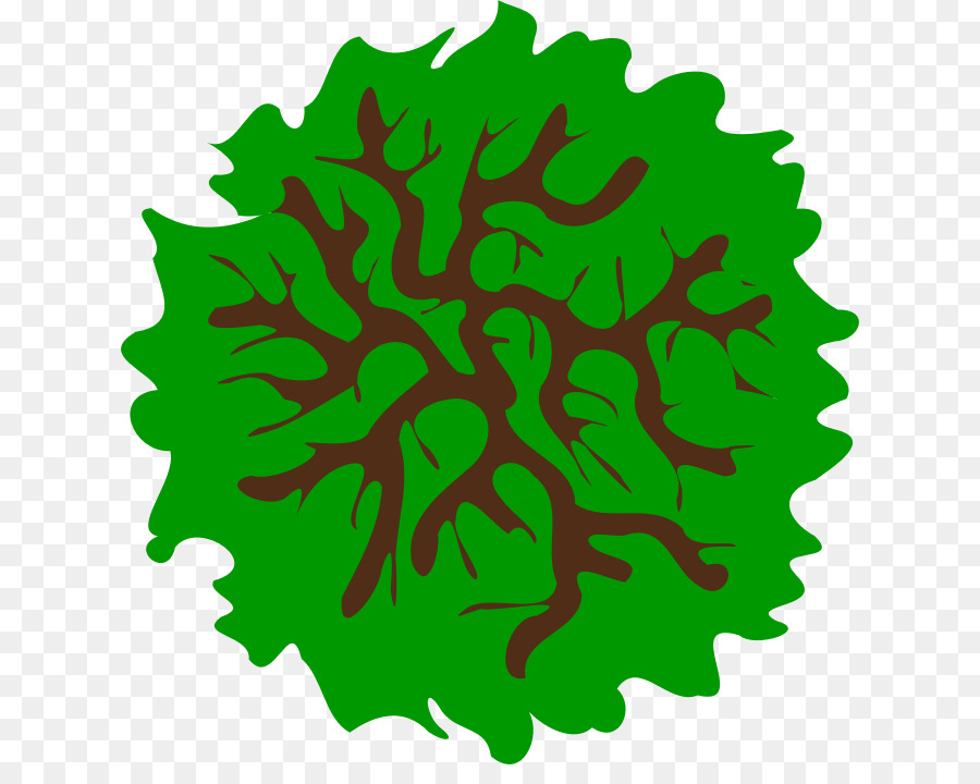 Detail Baum Ansicht Nomer 6