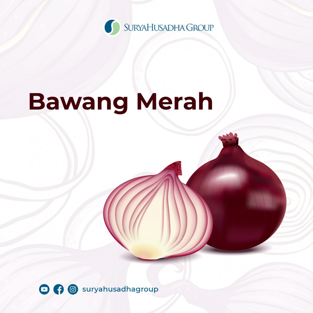 Detail Bawang Merah Tunggal Nomer 32