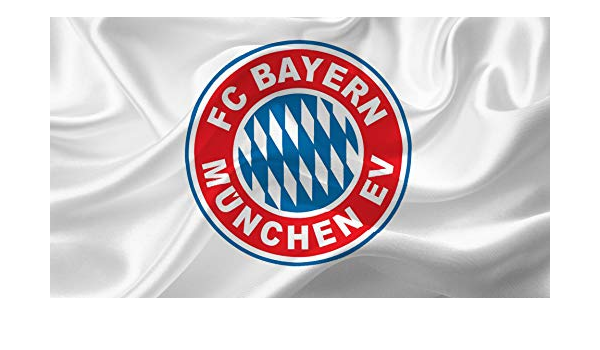 Detail Bayern Munich Logo Png Nomer 37