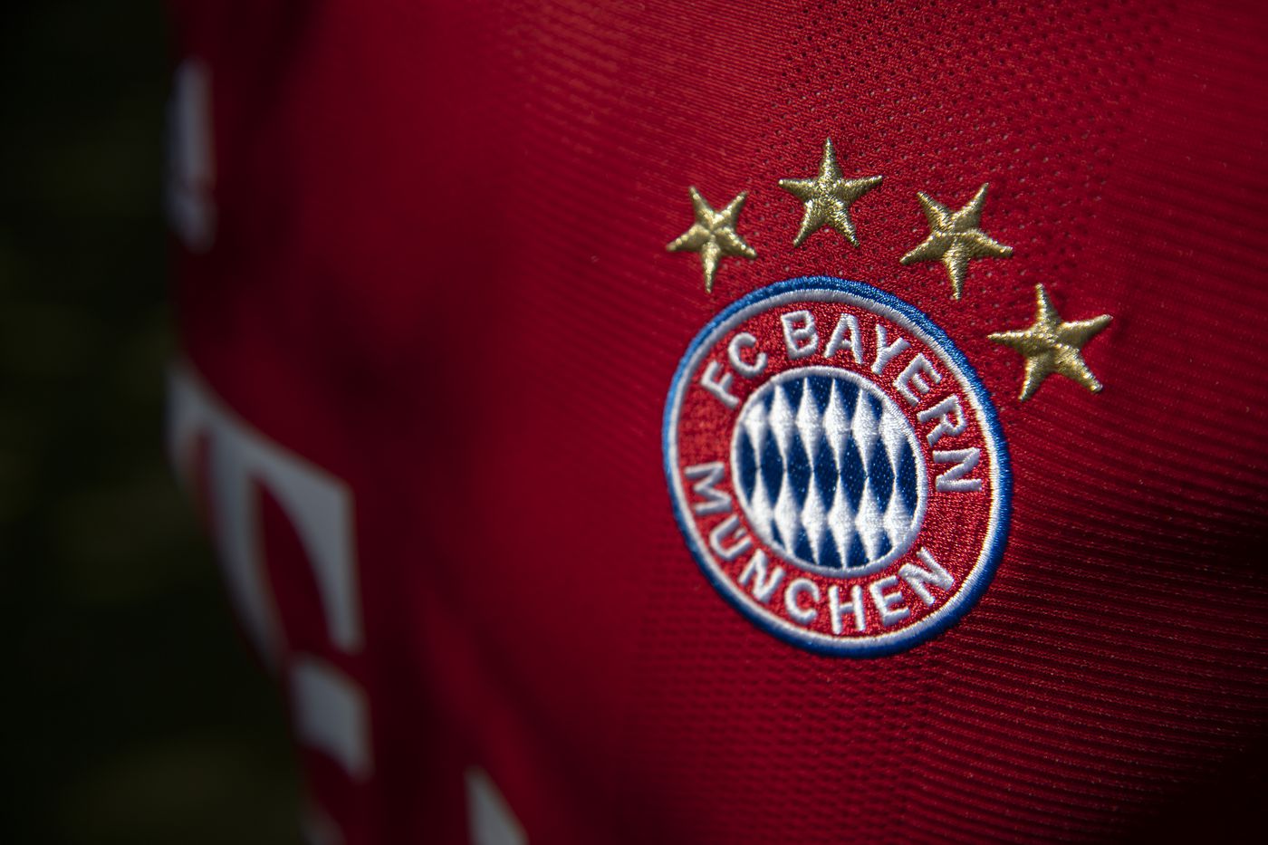 Detail Bayern New Logo Nomer 31