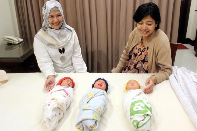 Detail Bayi Baru Lahir Kembar Nomer 51