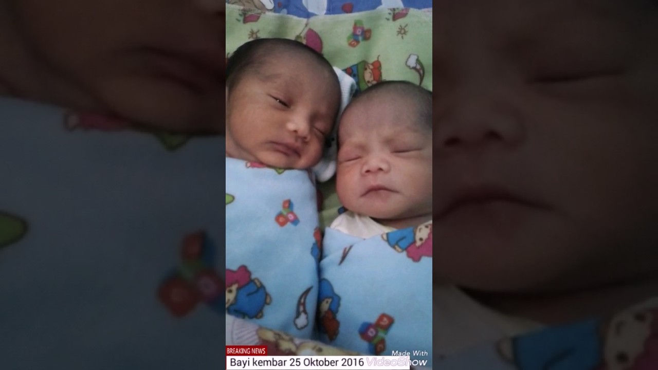 Detail Bayi Kembar Lucu Baru Lahir Nomer 6