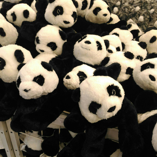 Detail Bayi Panda Baru Lahir Nomer 28