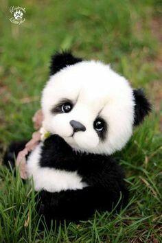 Detail Bayi Panda Lucu Dan Imut Nomer 54