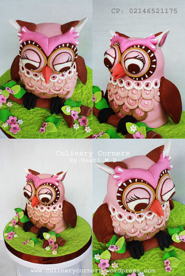 Detail Bbm Tema Owl Nomer 48