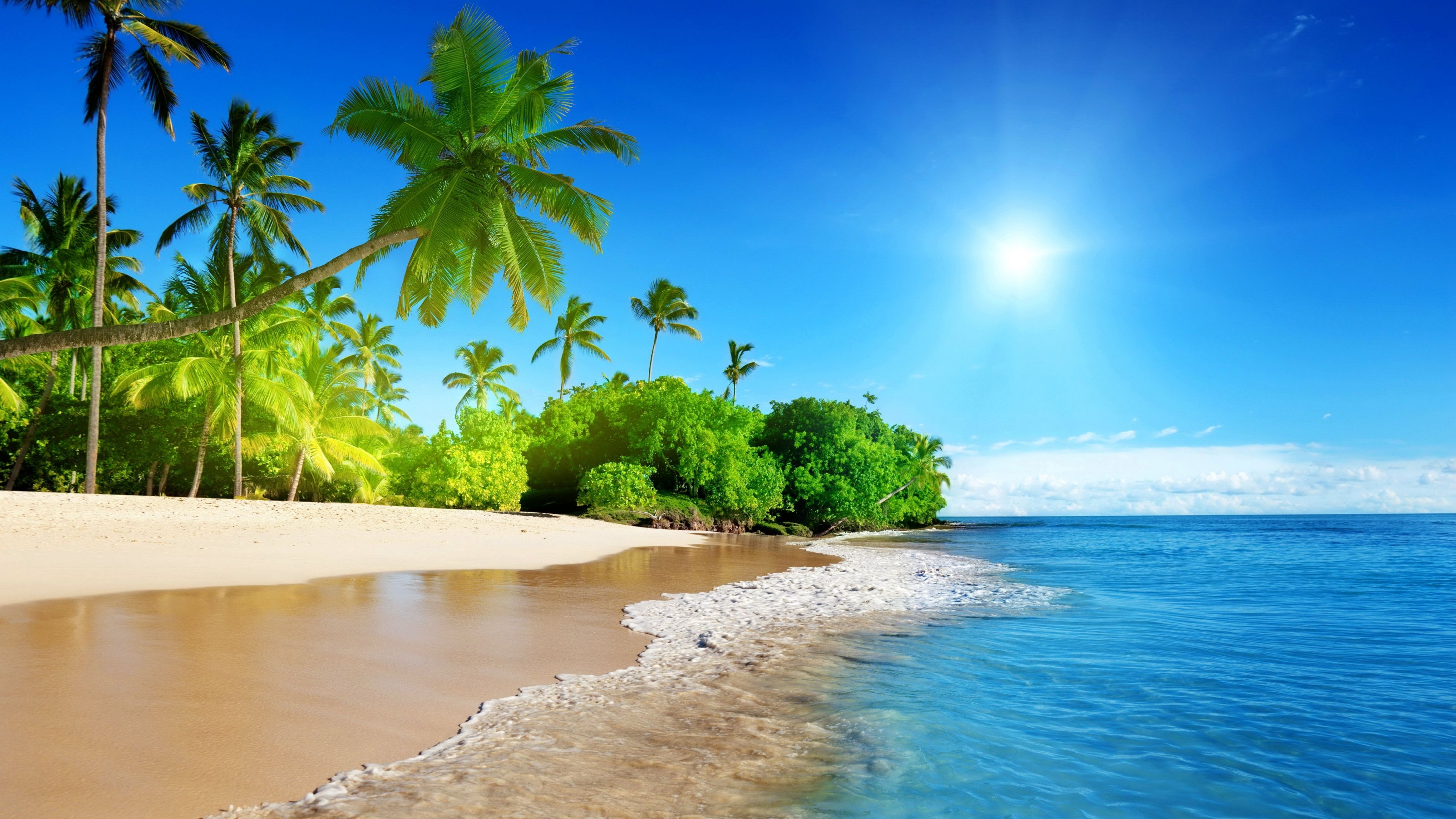 Detail Beach Background Hd Nomer 17