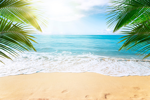 Detail Beach Background Hd Nomer 24