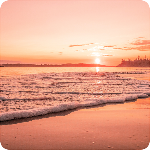 Detail Beach Background Hd Nomer 57