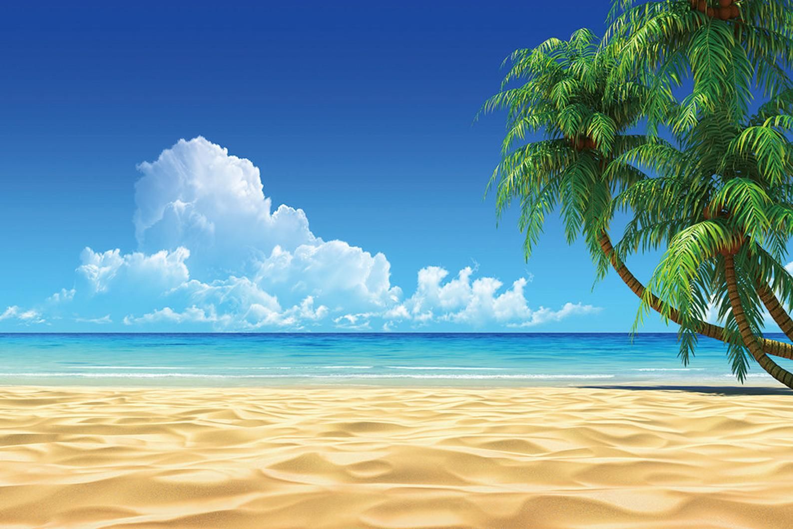 Detail Beach Background Hd Nomer 10