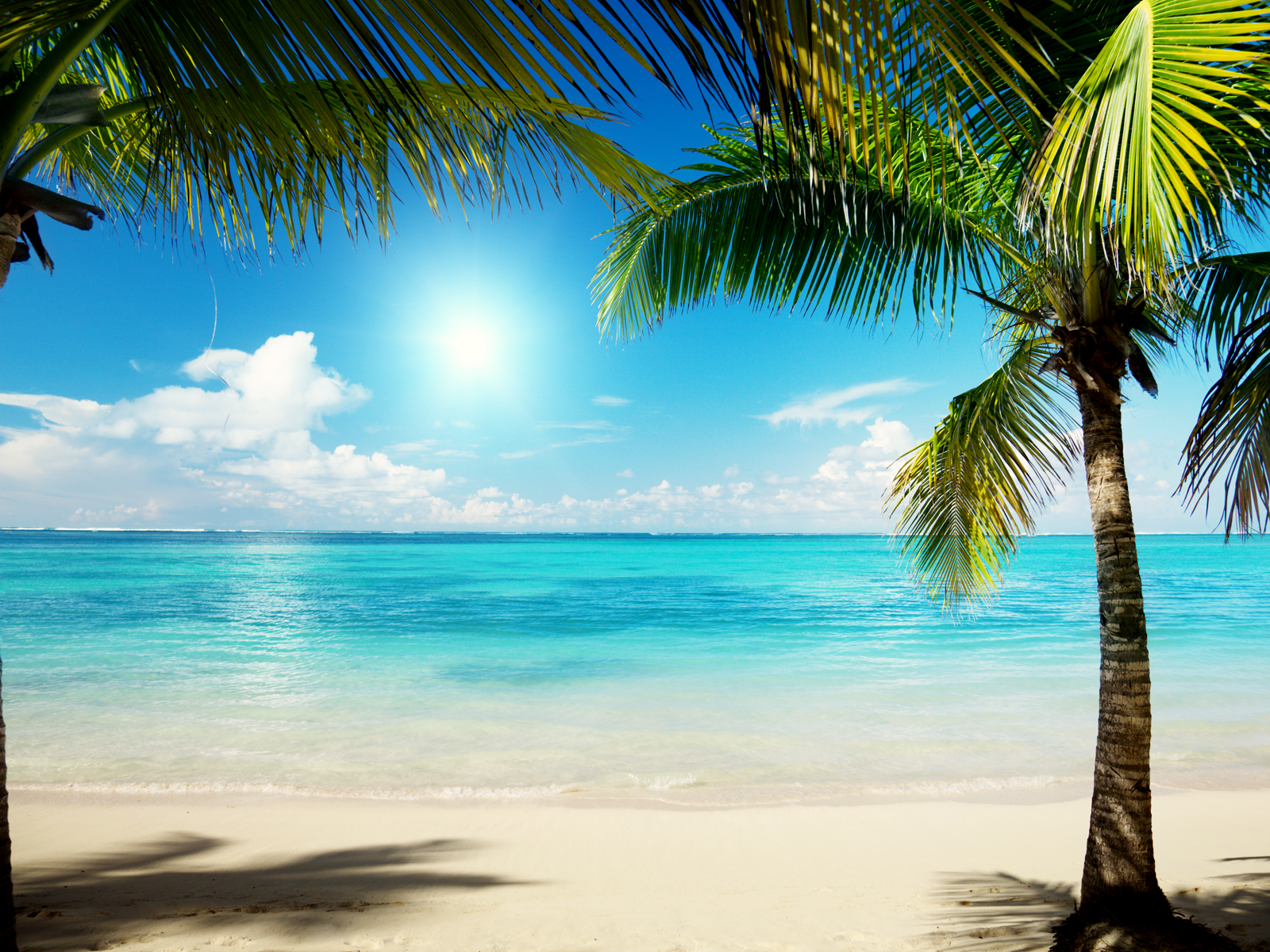 Detail Beach Background Png Nomer 31