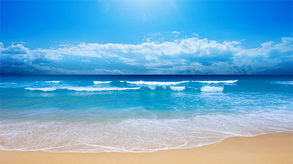 Detail Beach Background Png Nomer 8