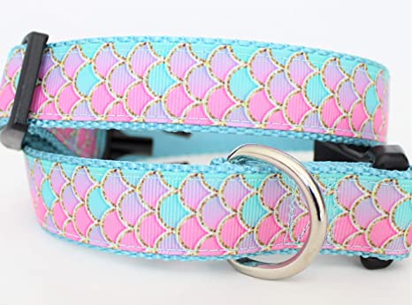 Detail Beach Biscuit Dog Collars Nomer 2