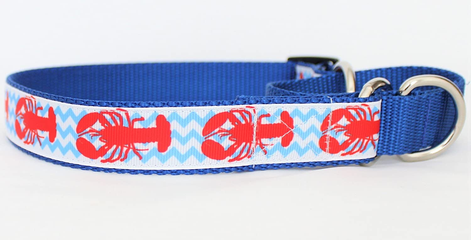 Detail Beach Biscuit Dog Collars Nomer 21