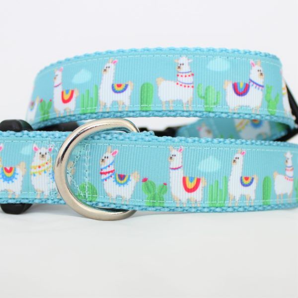 Detail Beach Biscuit Dog Collars Nomer 44