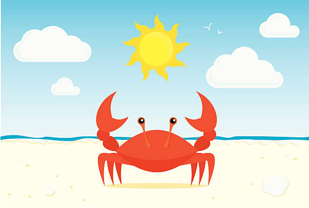 Detail Beach Crab Clipart Nomer 10