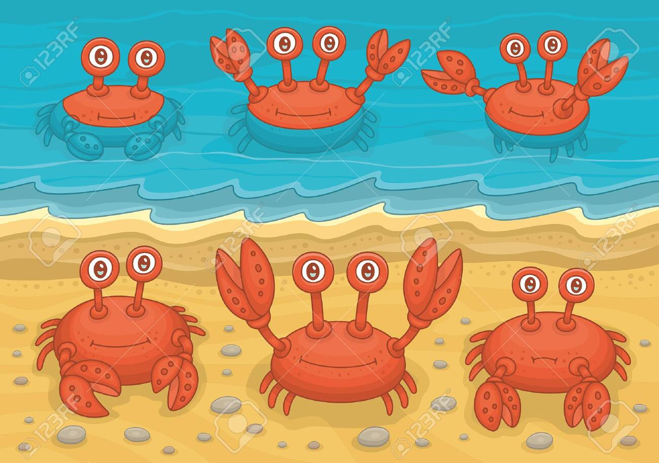 Detail Beach Crab Clipart Nomer 13