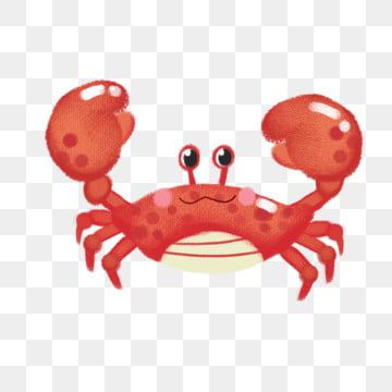 Detail Beach Crab Clipart Nomer 24