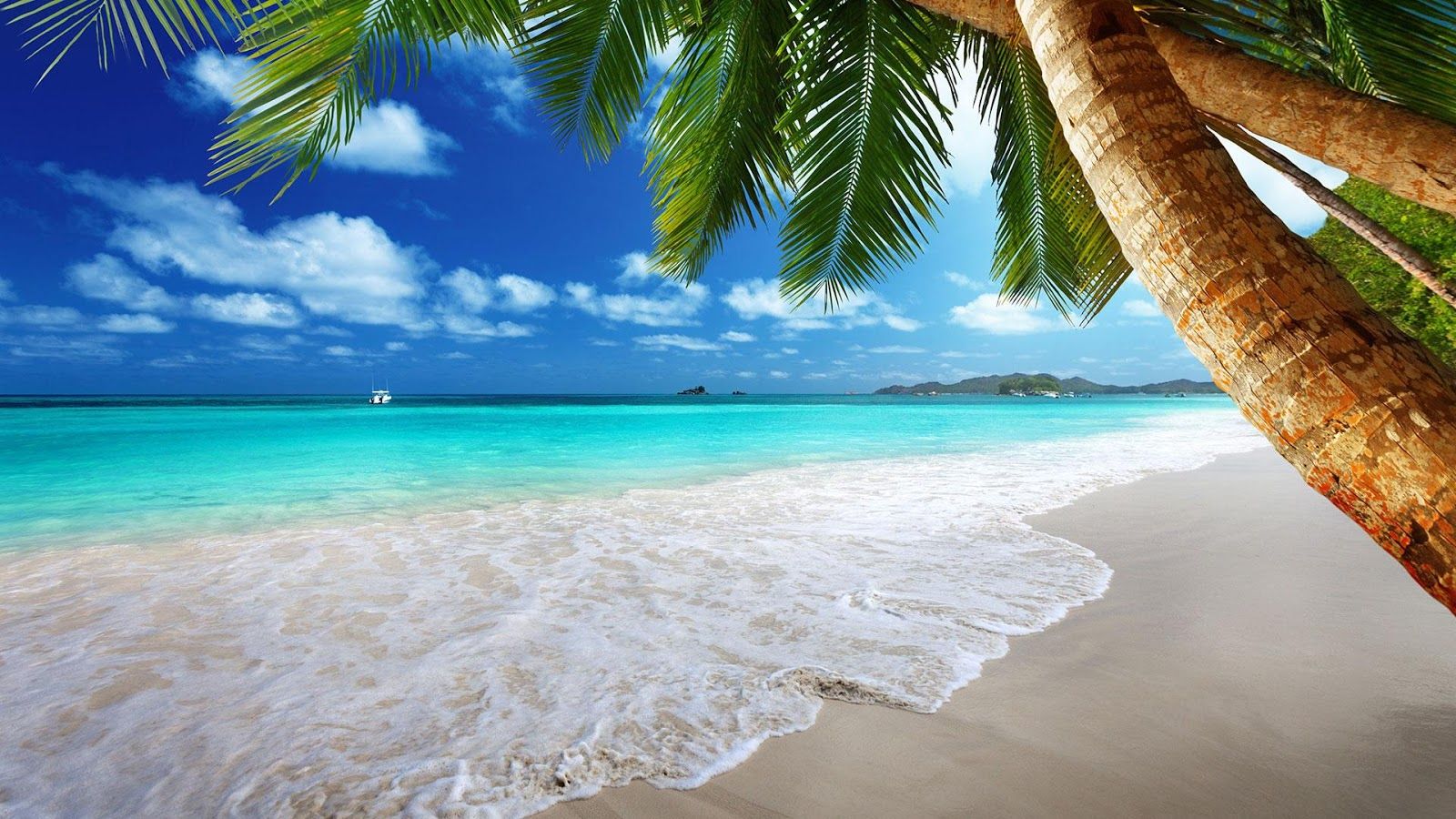 Detail Beach Images Free Download Nomer 26