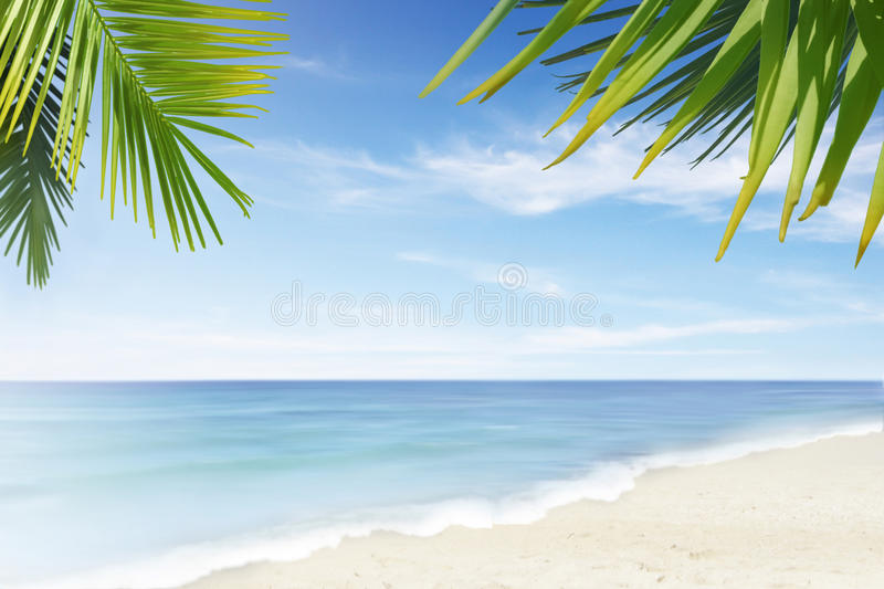 Detail Beach Images Free Download Nomer 33