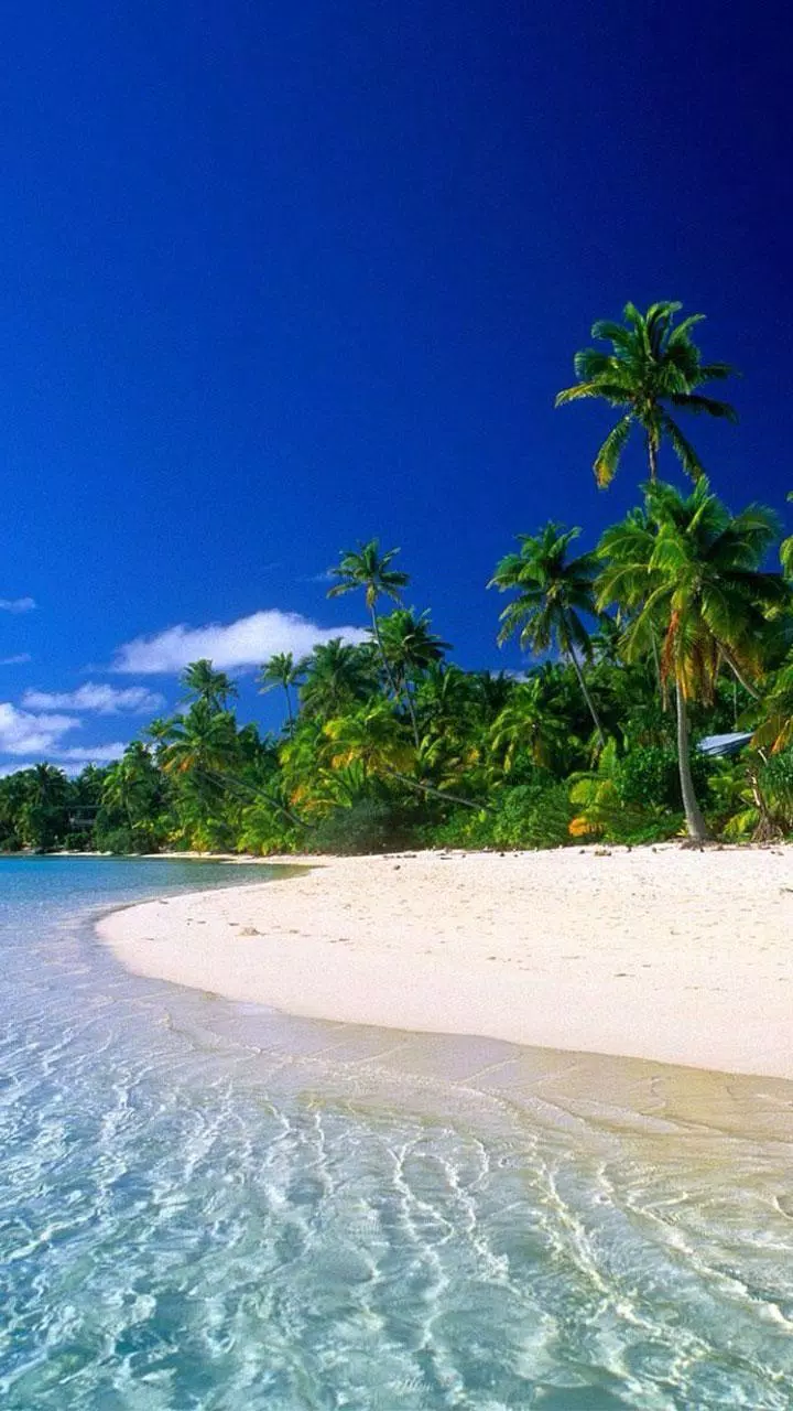 Detail Beach Live Wallpaper Nomer 13