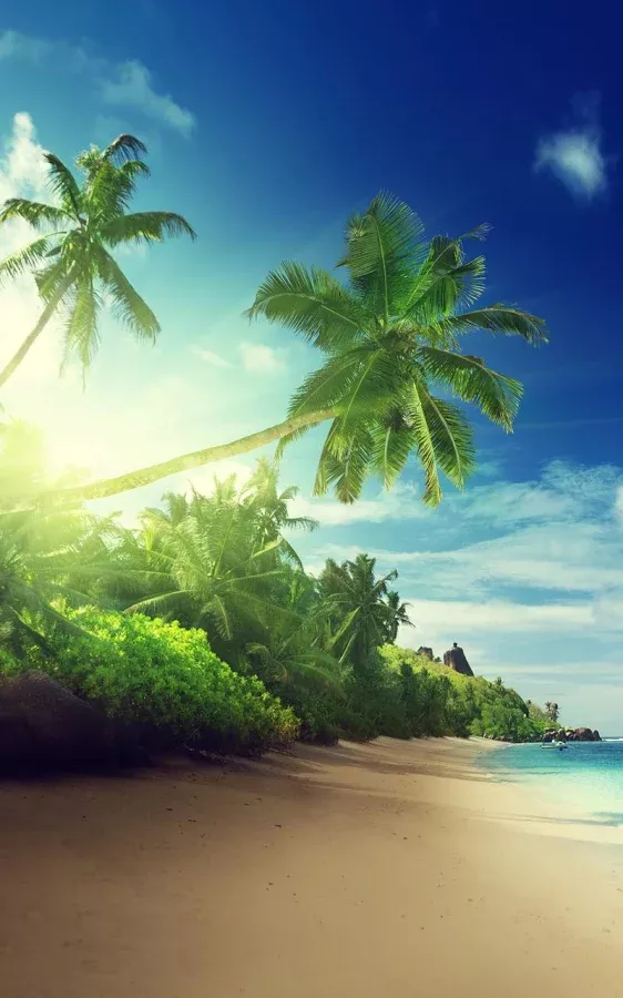 Detail Beach Live Wallpaper Nomer 3