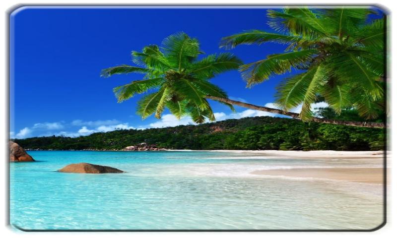 Detail Beach Live Wallpaper Nomer 57