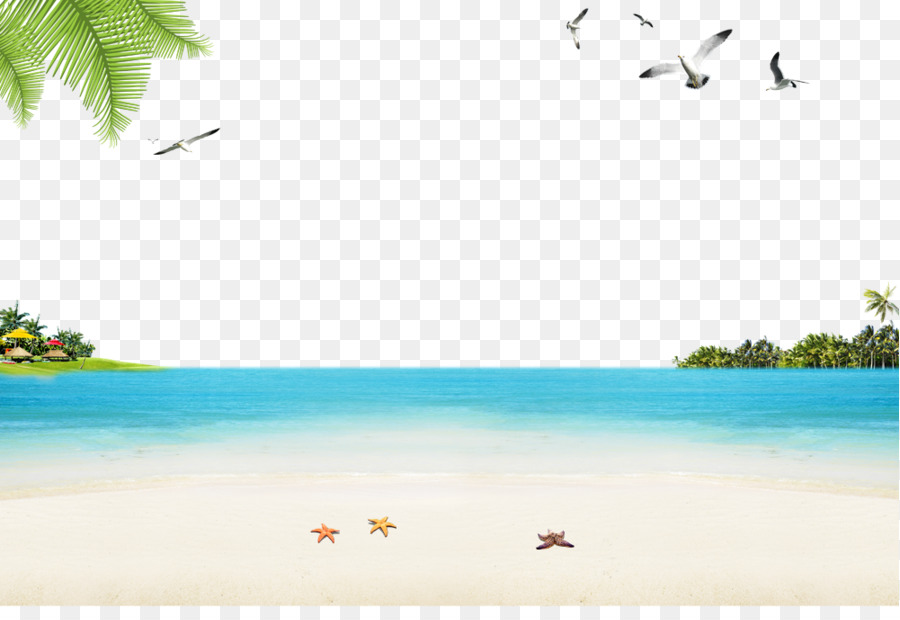 Detail Beach Png Background Nomer 26