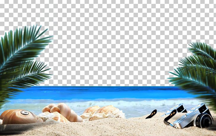 Detail Beach Png Background Nomer 29