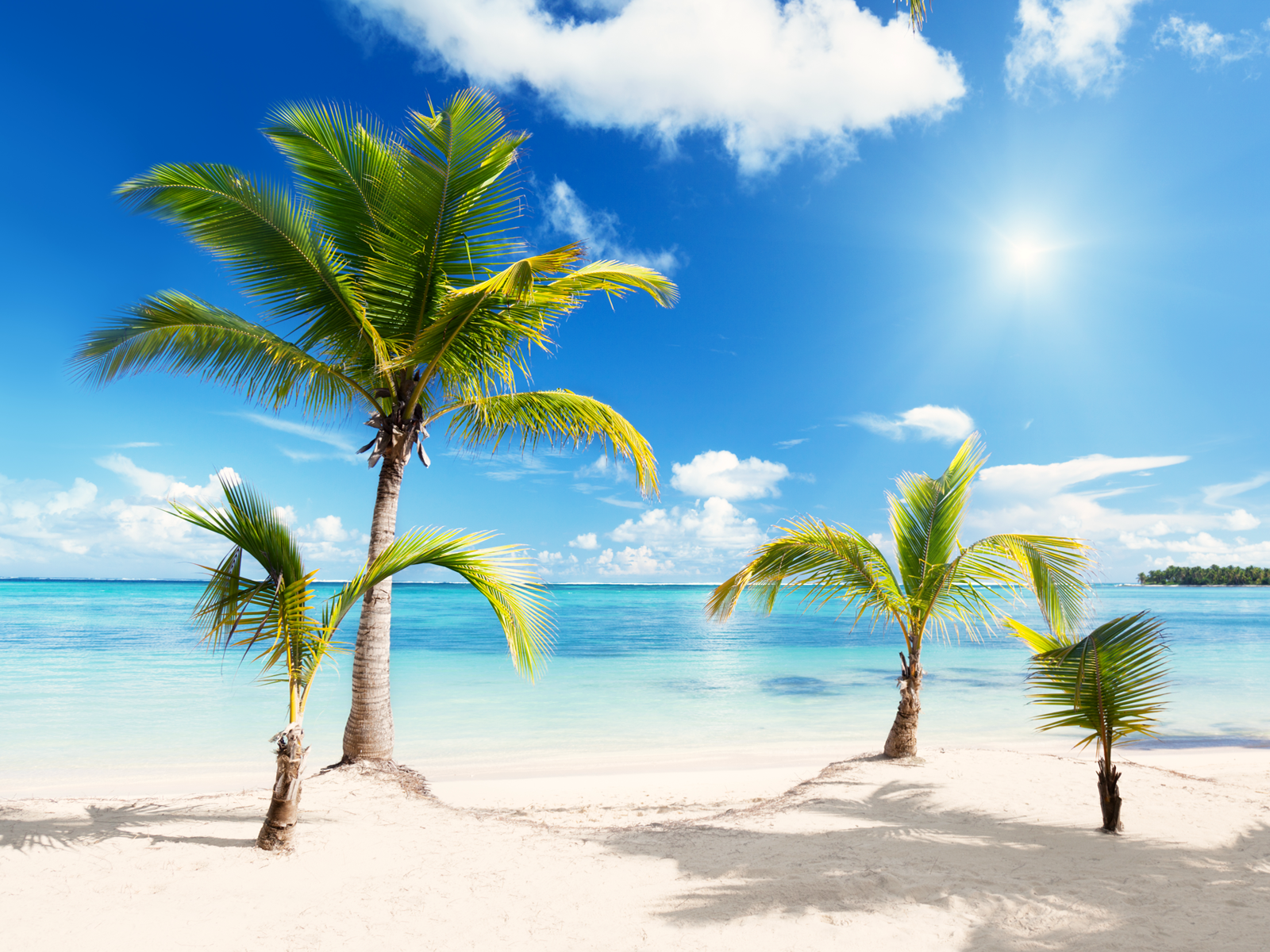 Detail Beach Png Background Nomer 7