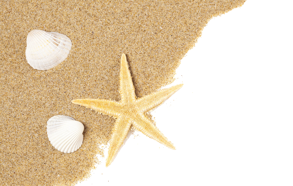 Detail Beach Png Images Nomer 15