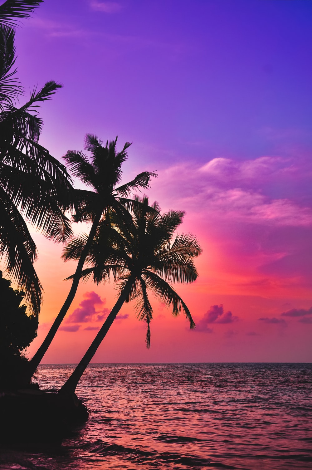 Detail Beach Sunset Wallpaper Nomer 2