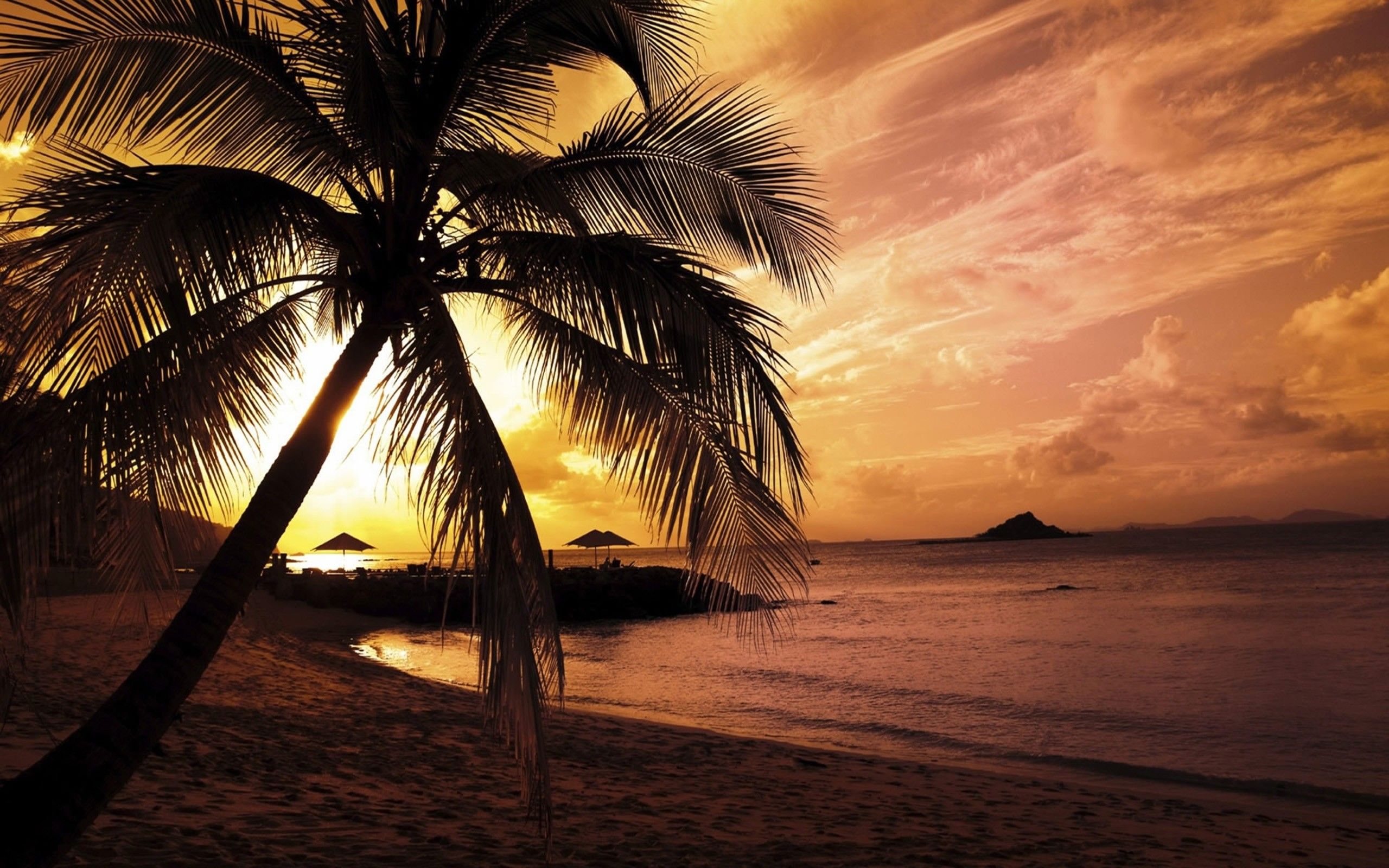 Detail Beach Sunset Wallpaper Nomer 54