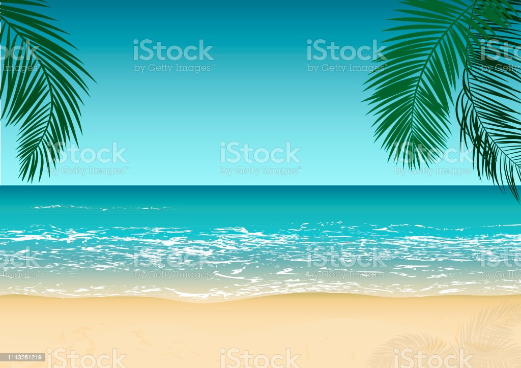 Detail Beach Vector Background Nomer 12