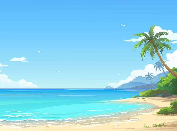 Detail Beach Vector Background Nomer 19