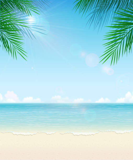 Detail Beach Vector Background Nomer 30
