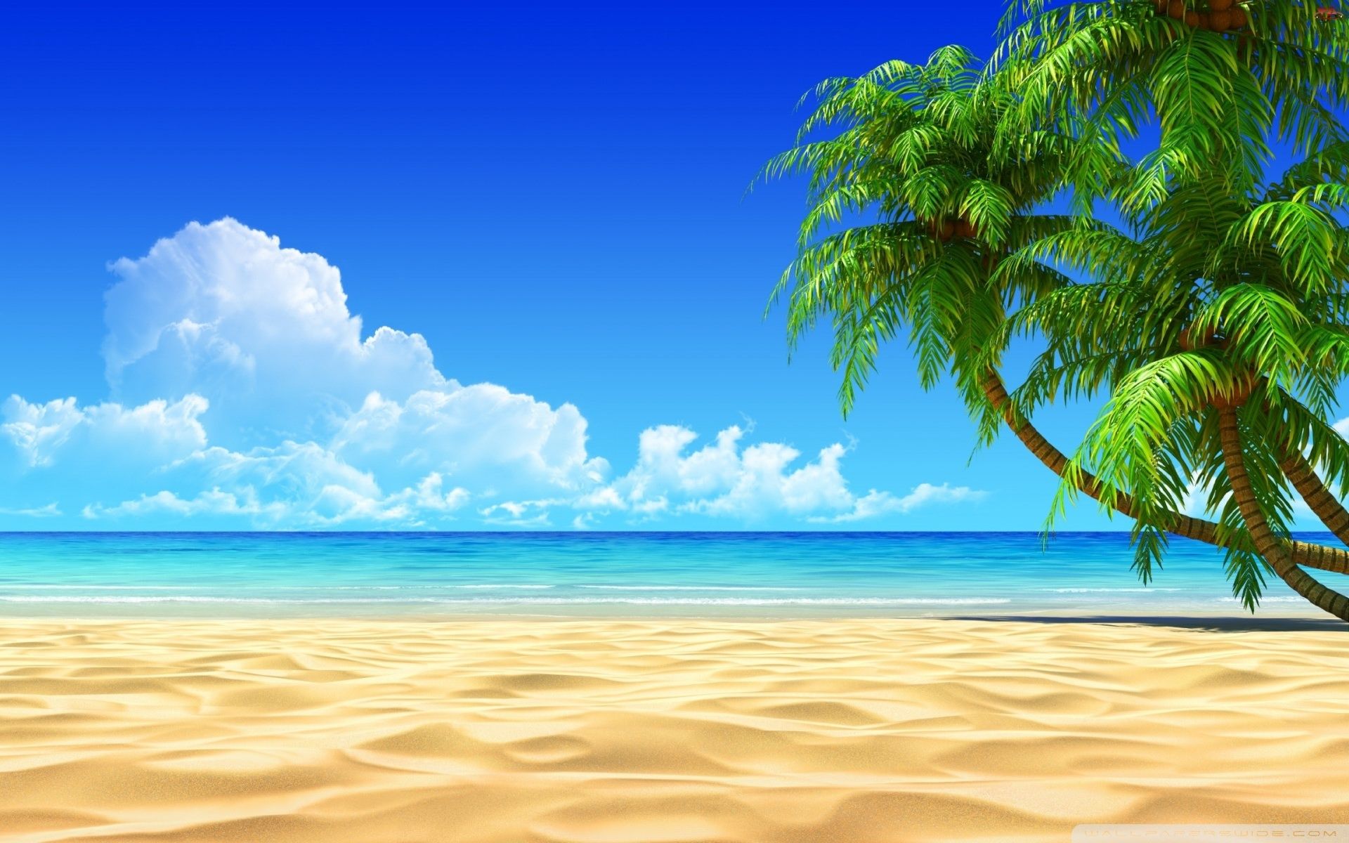 Detail Beach View Wallpaper Nomer 15