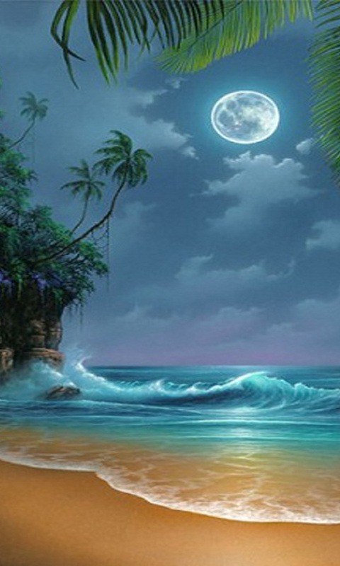 Detail Beach View Wallpaper Nomer 27